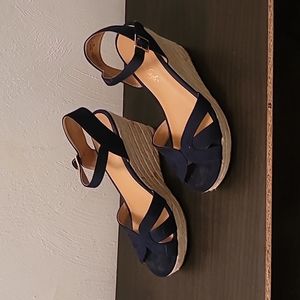 American Eagle Wedges